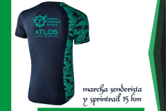 GALERIA-Mesa-de-trabajo-1-copia