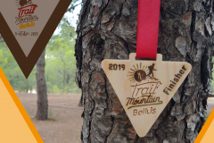 MEDALLA-GALERIA_Mesa-de-trabajo-1