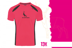 GALERIA-Mesa-de-trabajo-1-copia-2