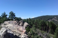 WhatsApp Image 2017-06-26 at 21.21.52