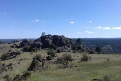 WhatsApp Image 2017-06-26 at 21.22.01