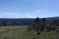 WhatsApp Image 2017-06-26 at 21.22.06