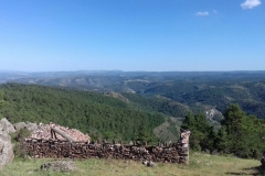 WhatsApp Image 2017-06-26 at 21.22.18